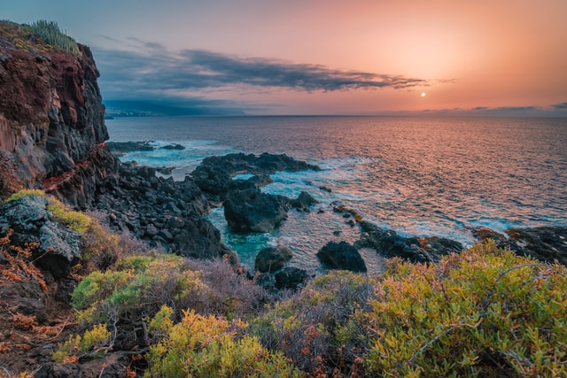 Guía Tenerife